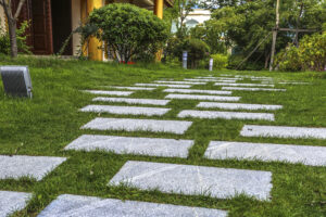 Best landscapers in Nairobi